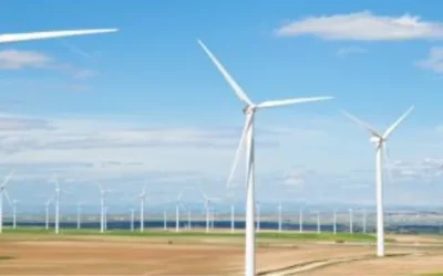 Small Wind turbine vs Large Wind turbine : What Is the Difference?