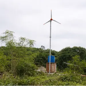 small wind turbine for farm